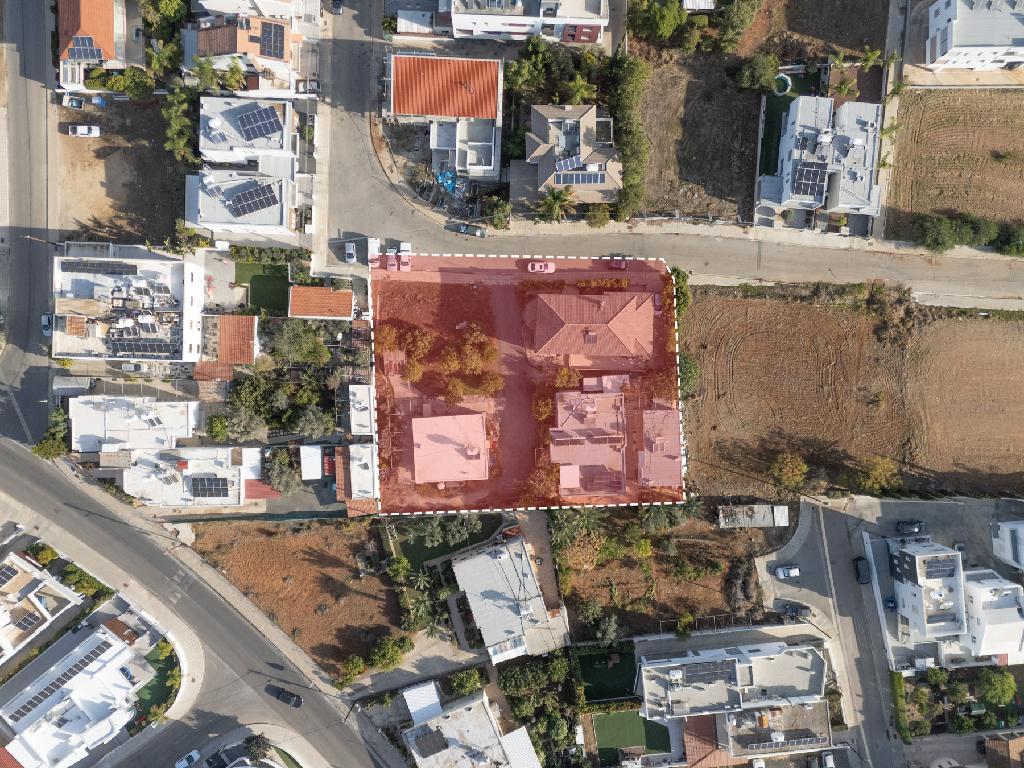 &Kappa;&alpha;&tau;&omicron;&iota;&kappa;ί&alpha; (&Mu;&epsilon;&rho;ί&delta;&iota;&alpha;) - &Lambda;&alpha;&kappa;&alpha;&tau;ά&mu;&epsilon;&iota;&alpha;, &Lambda;&epsilon;&upsilon;&kappa;&omega;&sigma;ί&alpha;