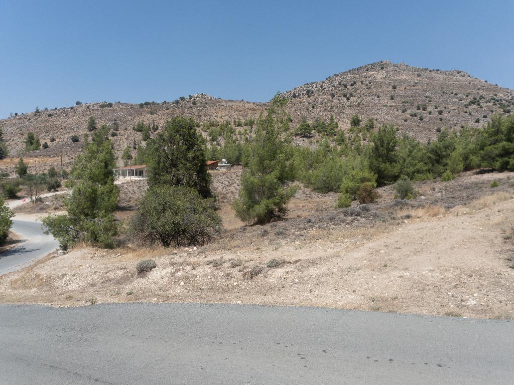 Field - Mitsero, Nicosia