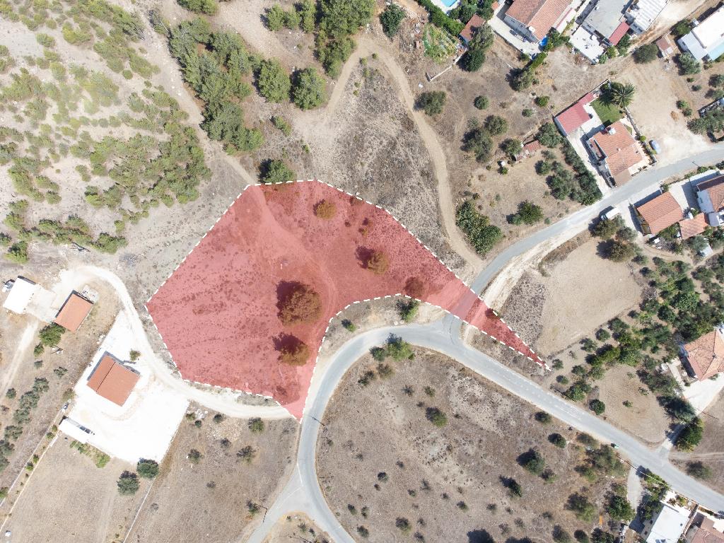 Field - Mitsero, Nicosia