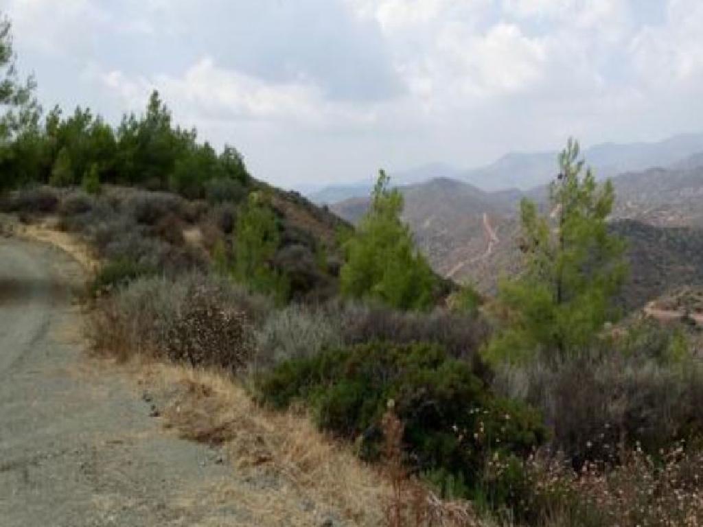 Field-Lageia-PR13342