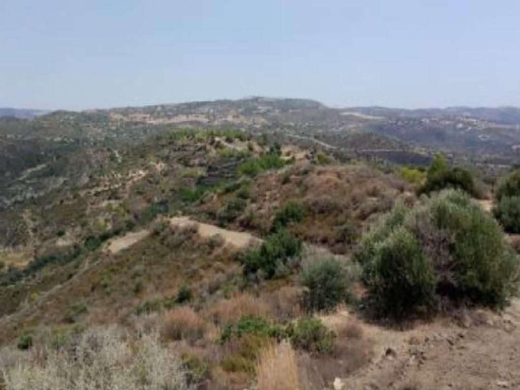 Field-Lageia-PR13342