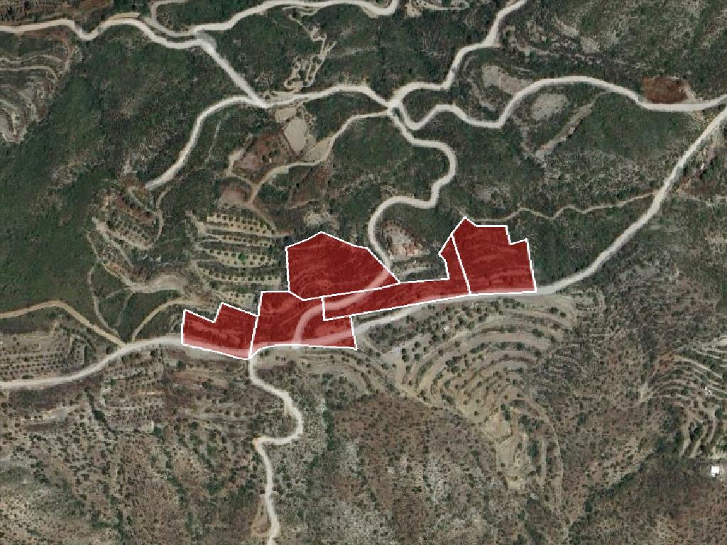 Field-Lageia-PR13342