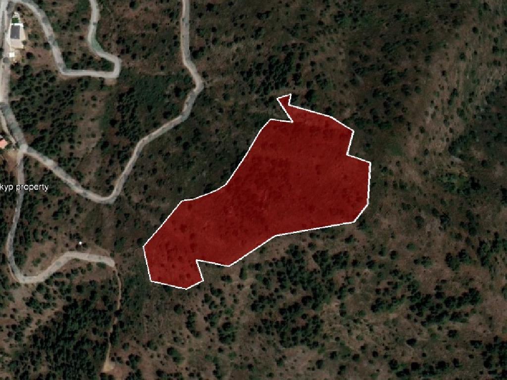 Field-Gourri-PR13729