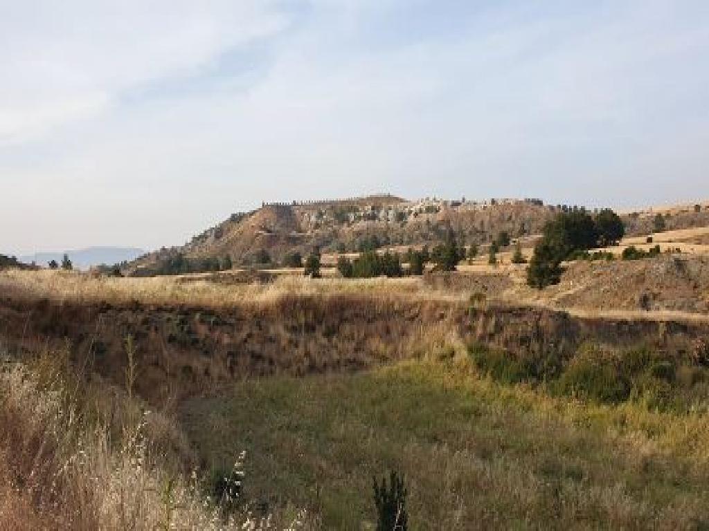 Field - Arediou, Nicosia