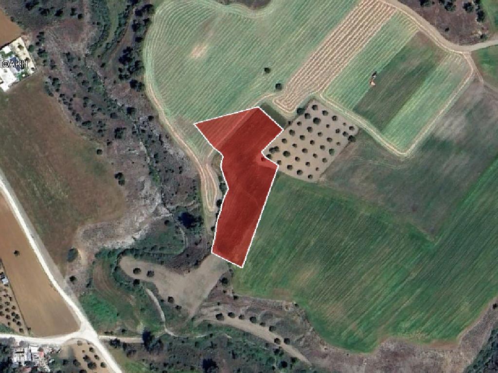 Field-Klirou-PR32395