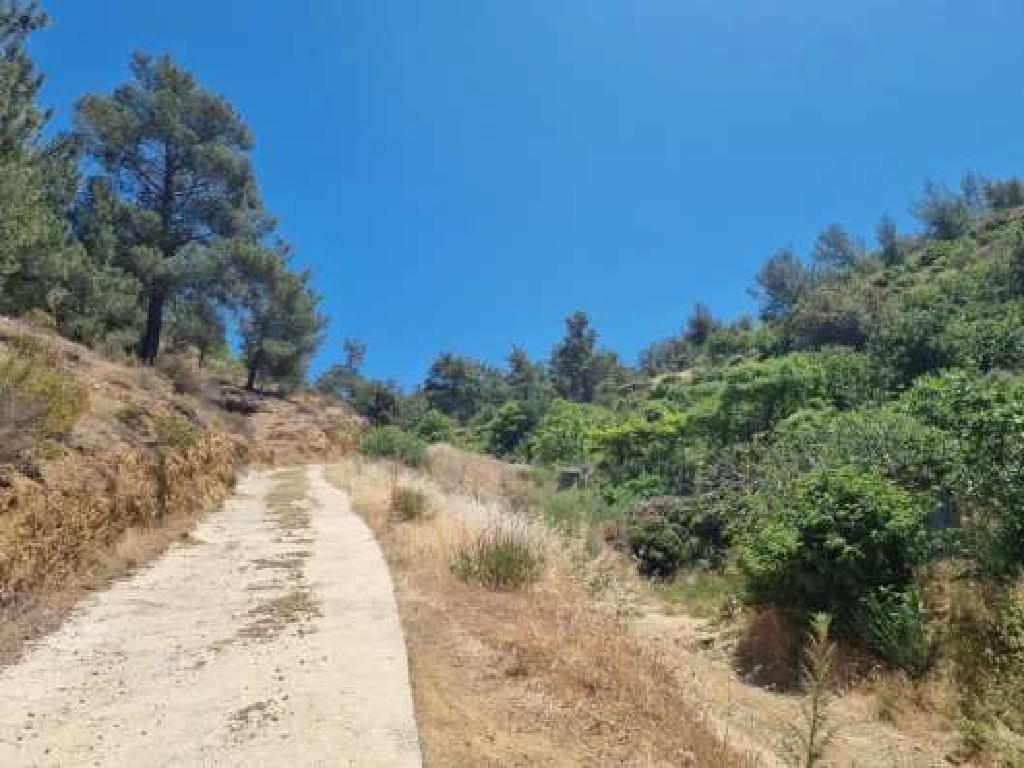 Field-Kakopetria-PR34573