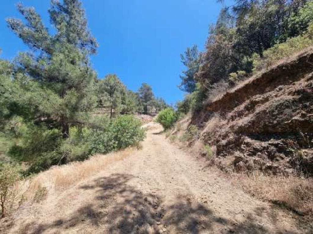 Field-Kakopetria-PR34573