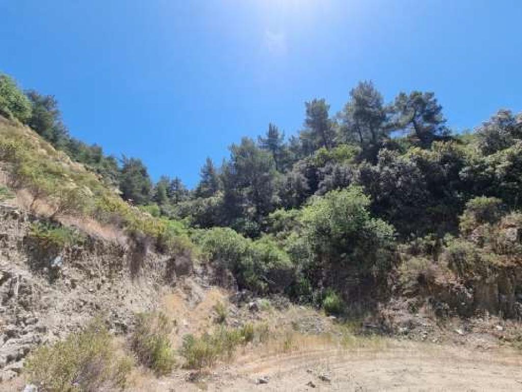 Field-Kakopetria-PR34573