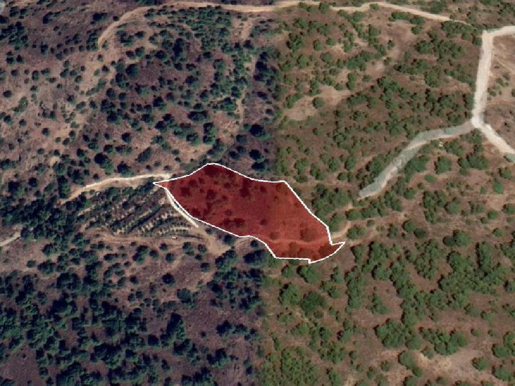 Field-Kakopetria-PR34573
