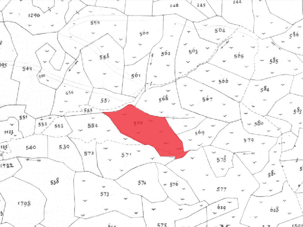Field-Kakopetria-PR34573