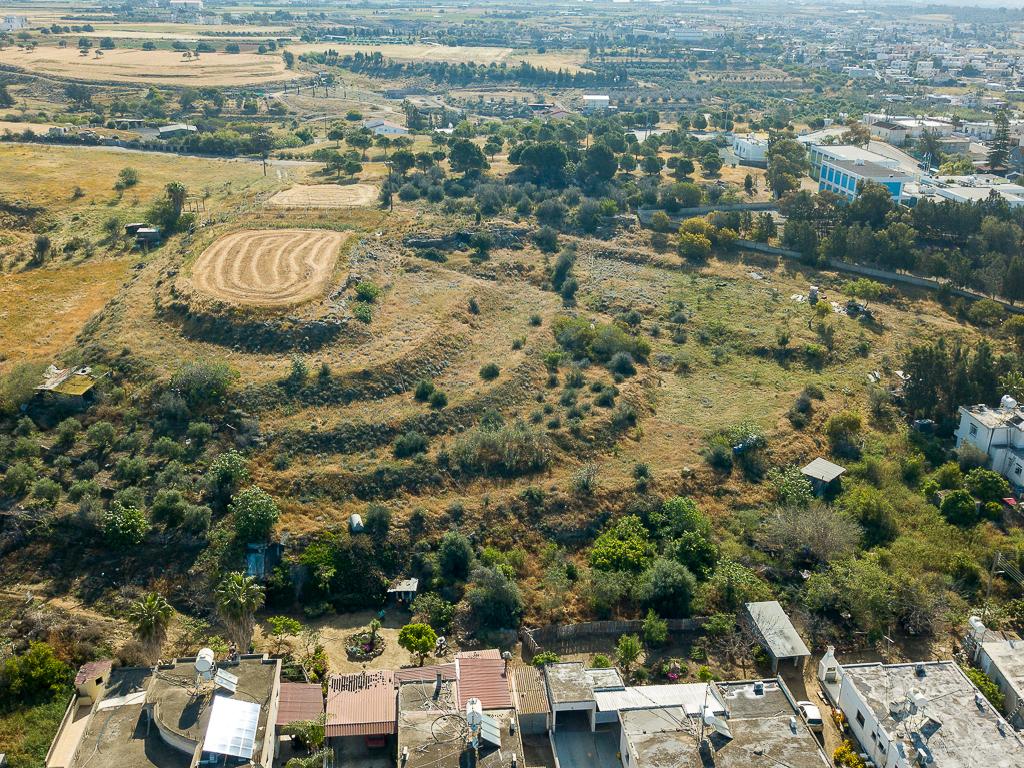 Field - Ormideia, Larnaca
