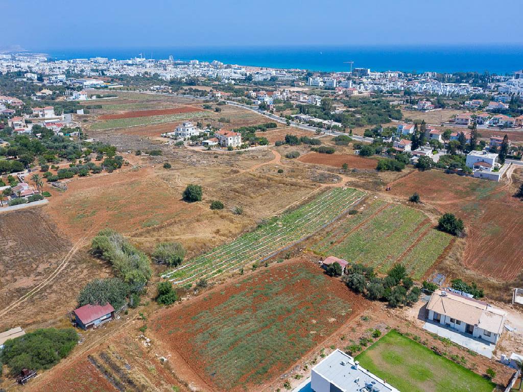 Field-Agia Napa-PR34286