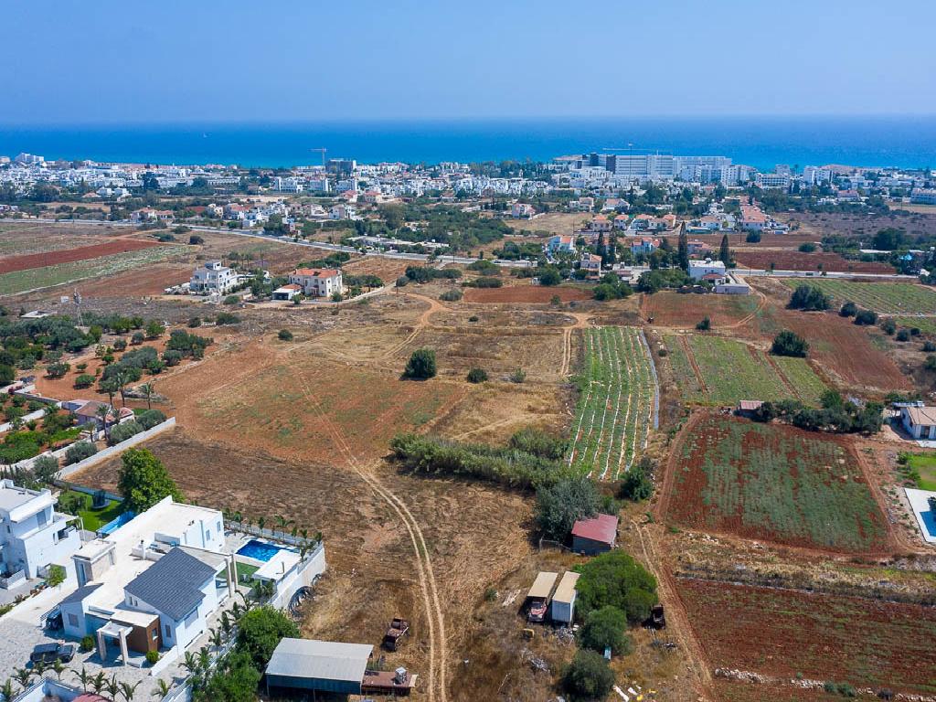 Field-Agia Napa-PR34286