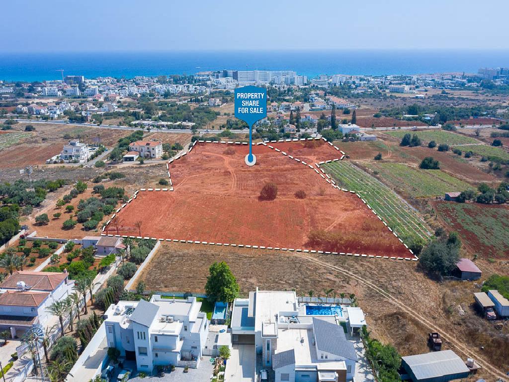 Field-Agia Napa-PR34286