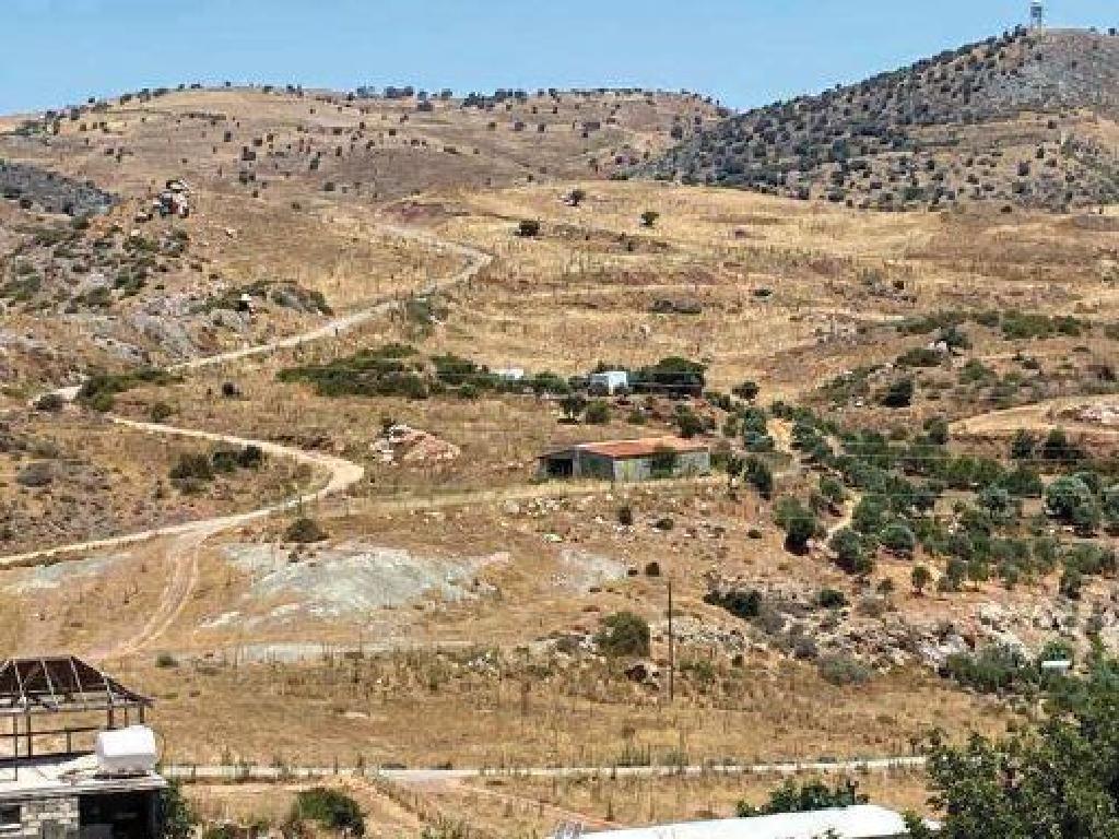 Field - Anarita, Paphos