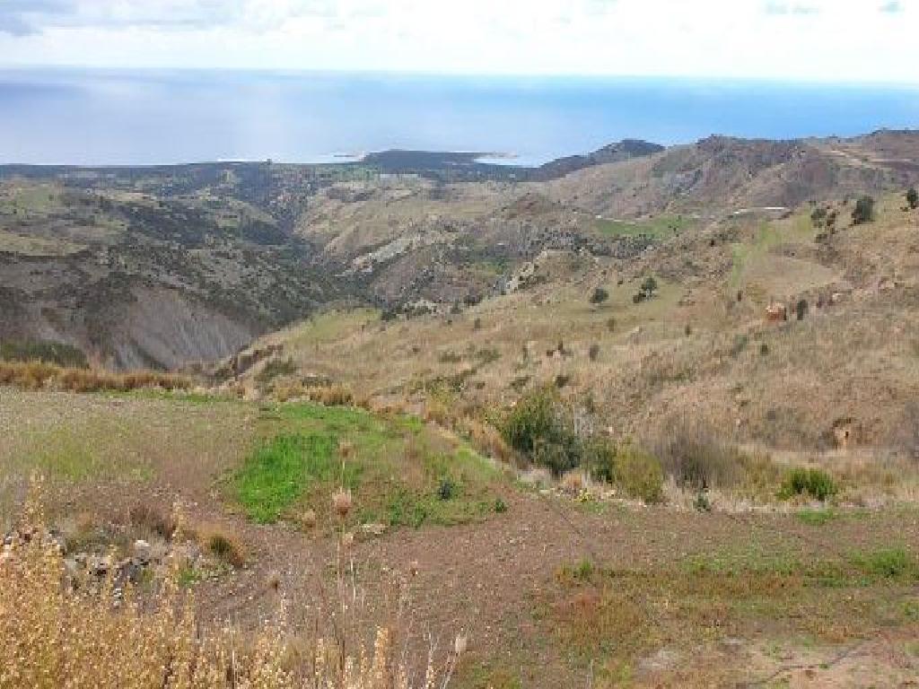 Field - Ineia, Paphos