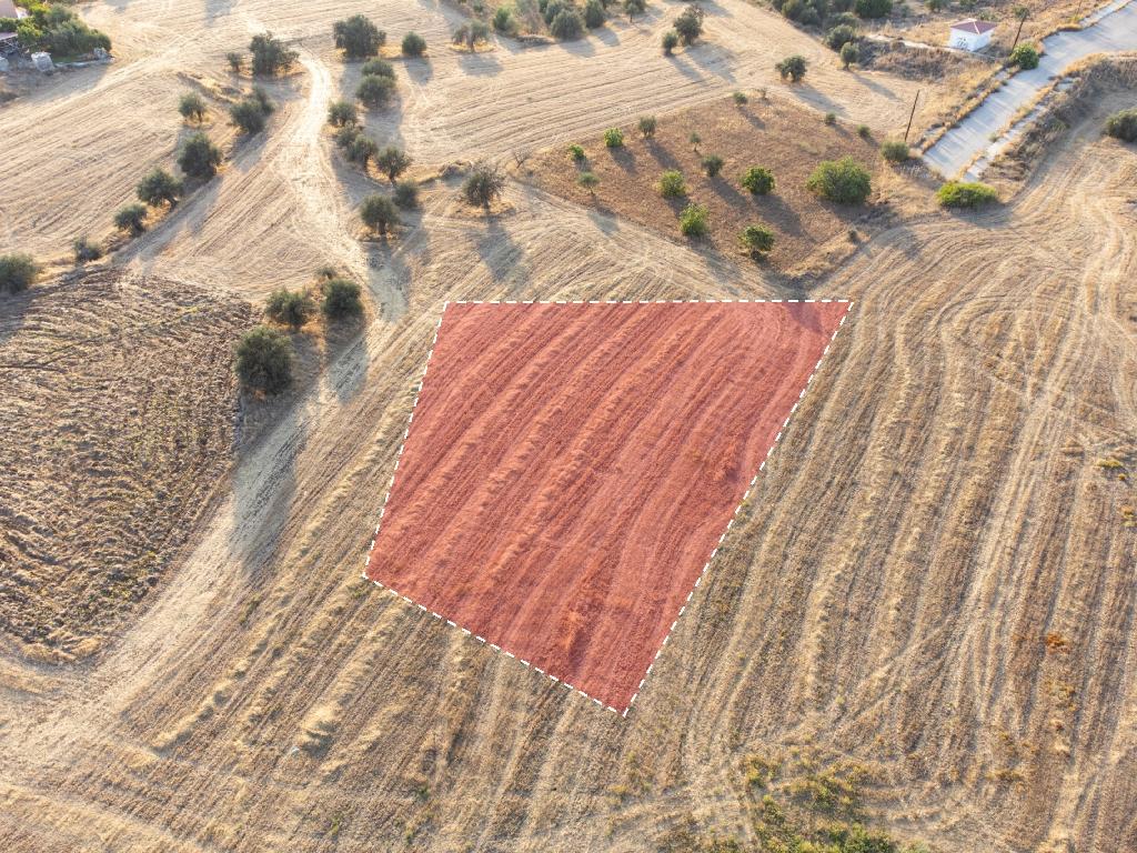 Field - Klirou, Nicosia