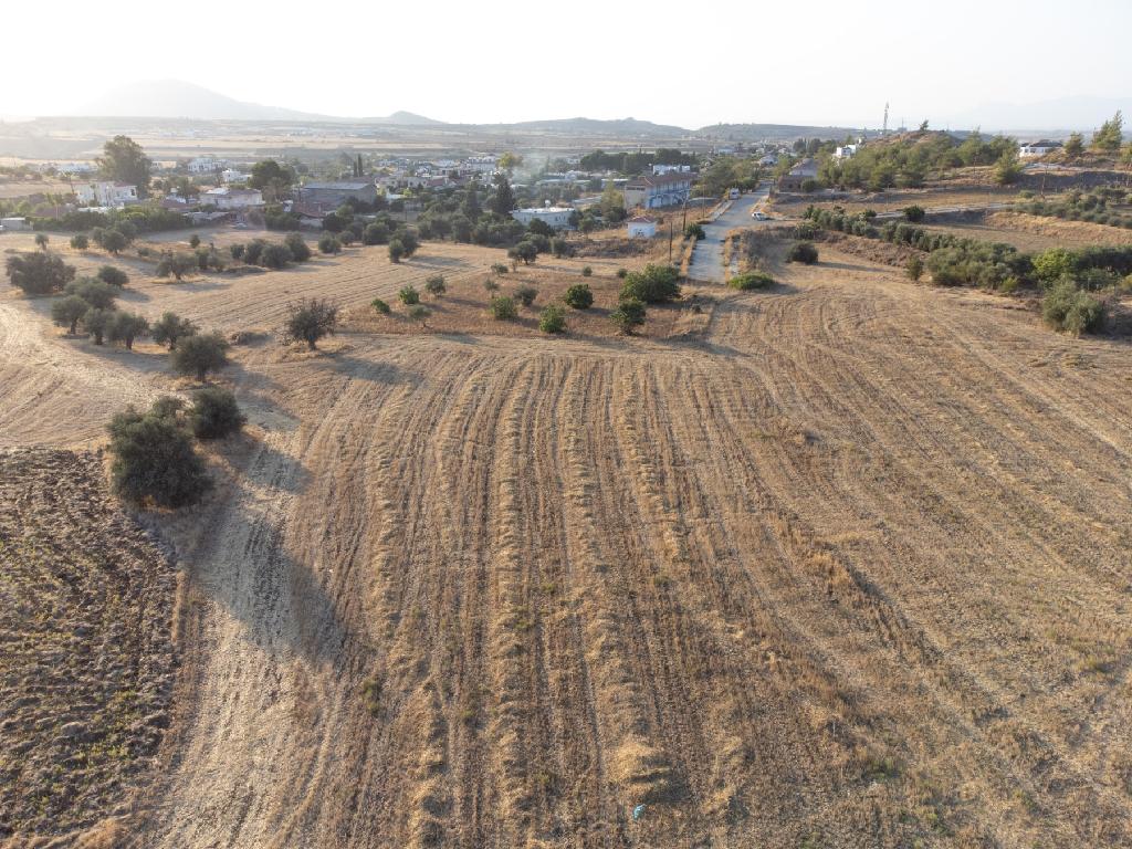 Field - Klirou, Nicosia