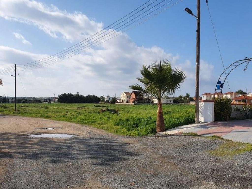 Field-Xylofagou-PR37430