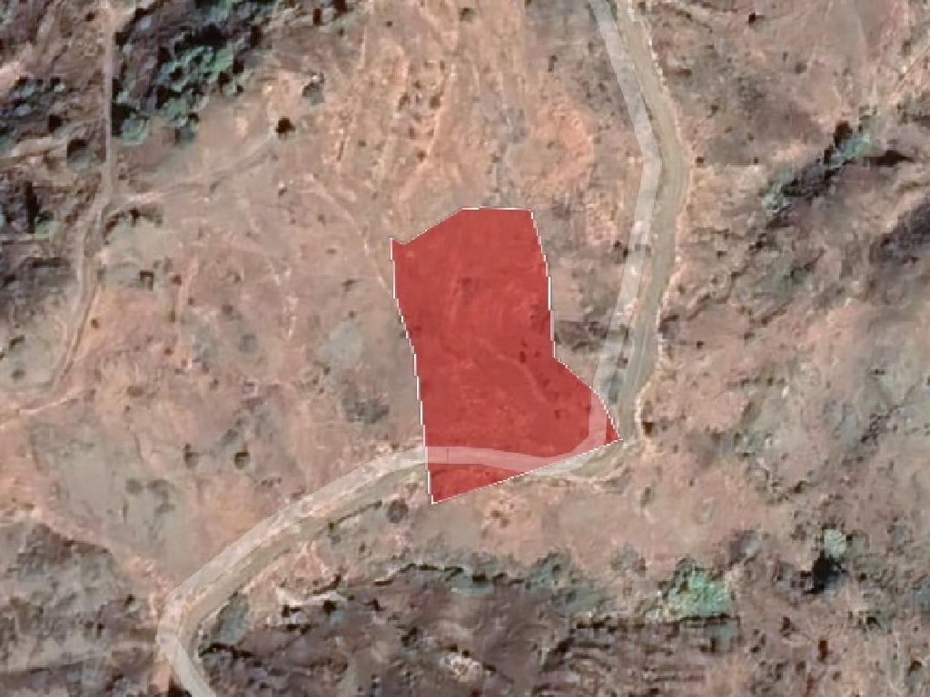 Field-Pigenia-PR37098