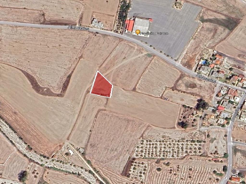 Field-Livadia-PR36574
