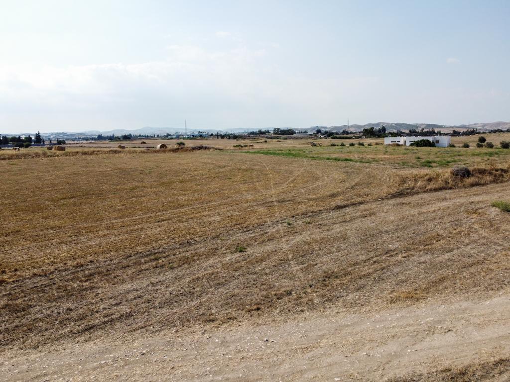 Field-Livadia-PR36574