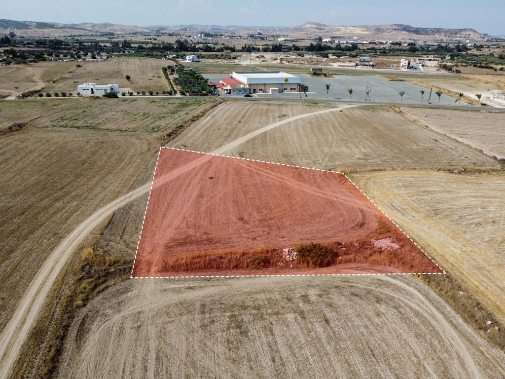 Field-Livadia-PR36574