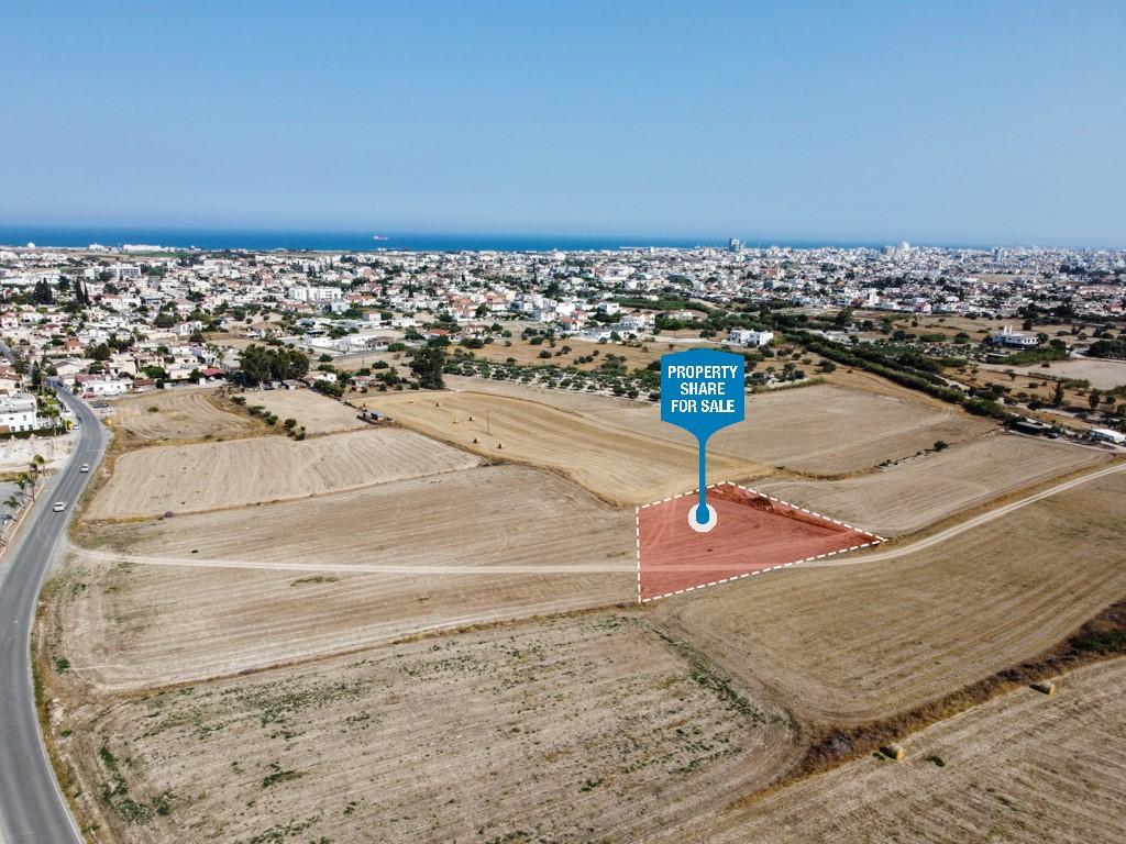 Field-Livadia-PR36574