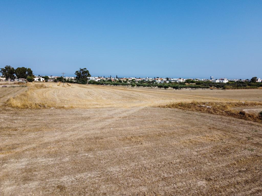 Field-Livadia-PR36574