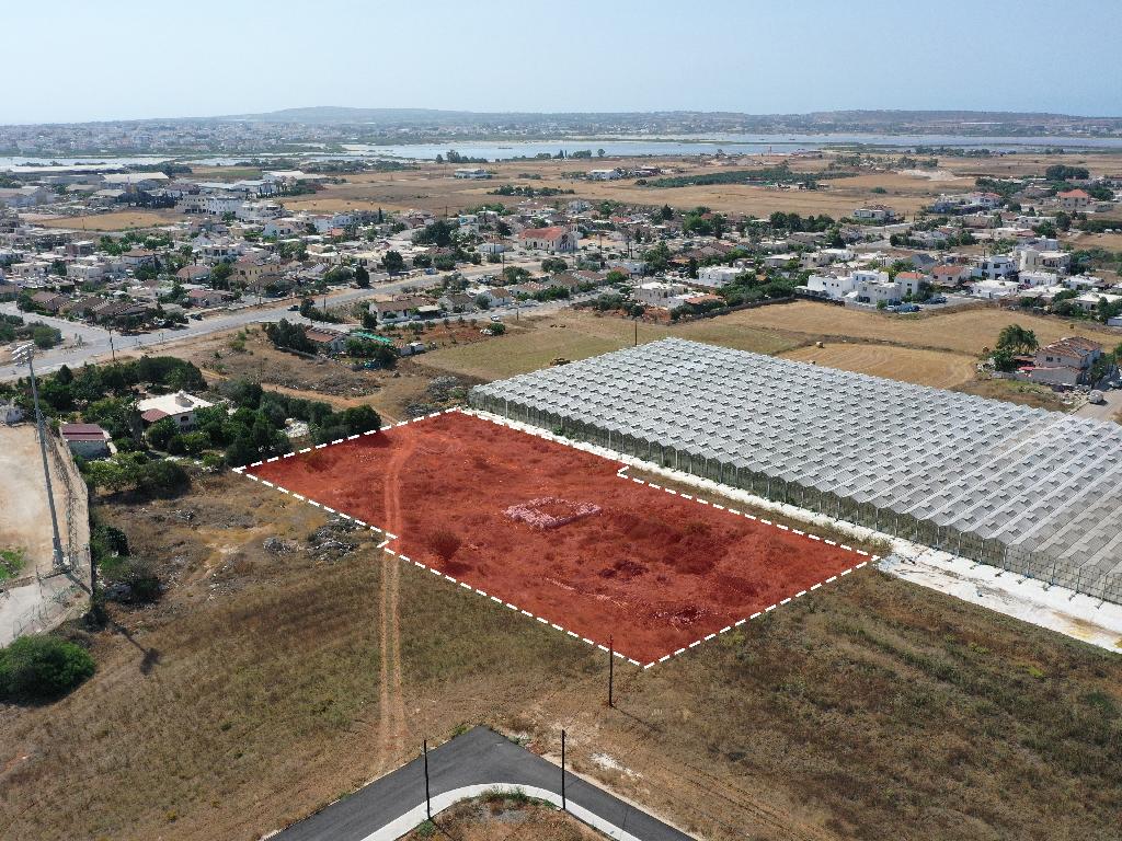 Χωράφι (Μερίδιο) - Δερύνεια, Αμμόχωστος