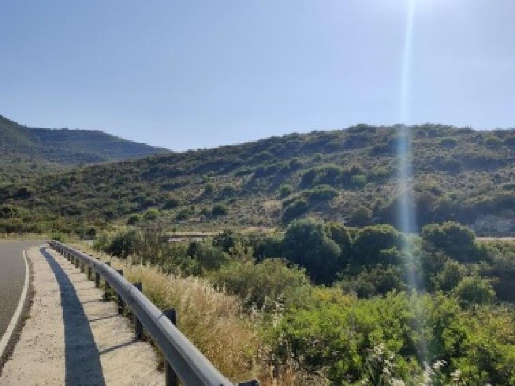 Field-Agios Therapon-PR38602