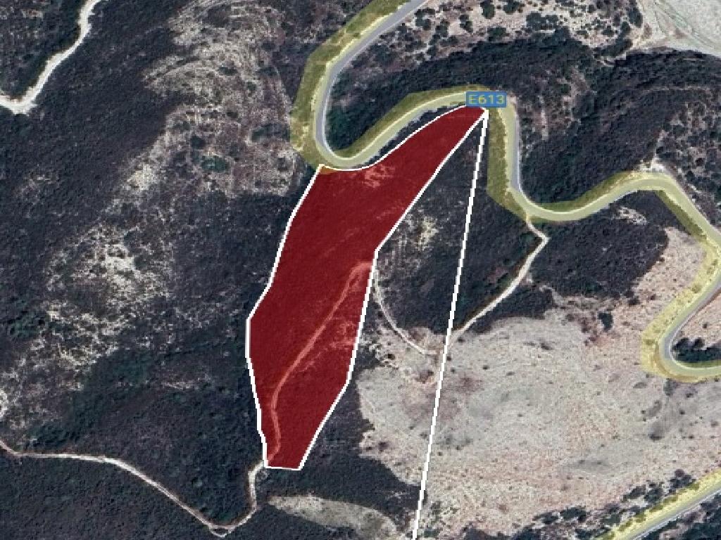 Field-Agios Therapon-PR38602