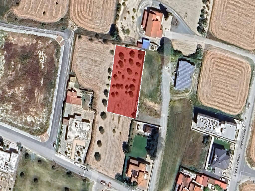 Field-Dali-PR39395
