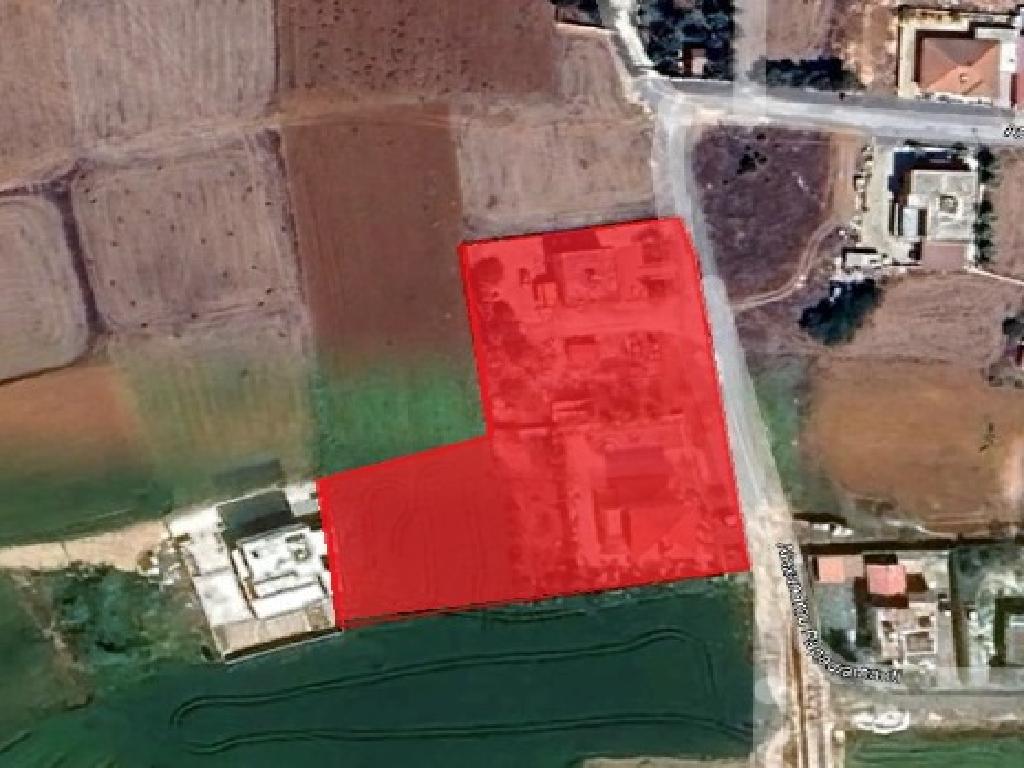 Field-Sotira-PR39727