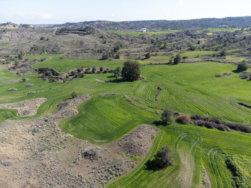 Field-Klirou-PR39872