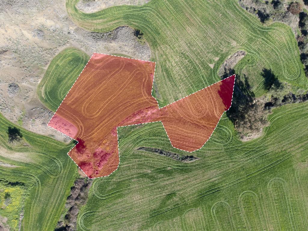 Field-Klirou-PR39872