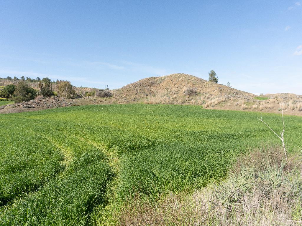Field-Klirou-PR39872