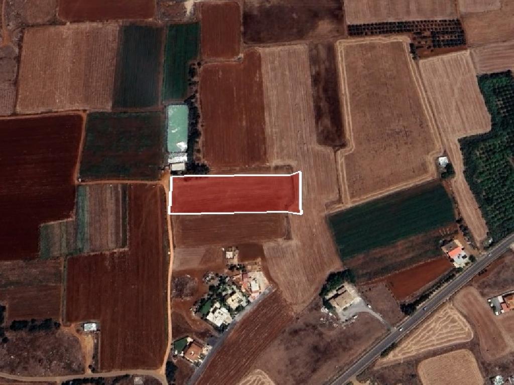 Field-Liopetri-PR39974