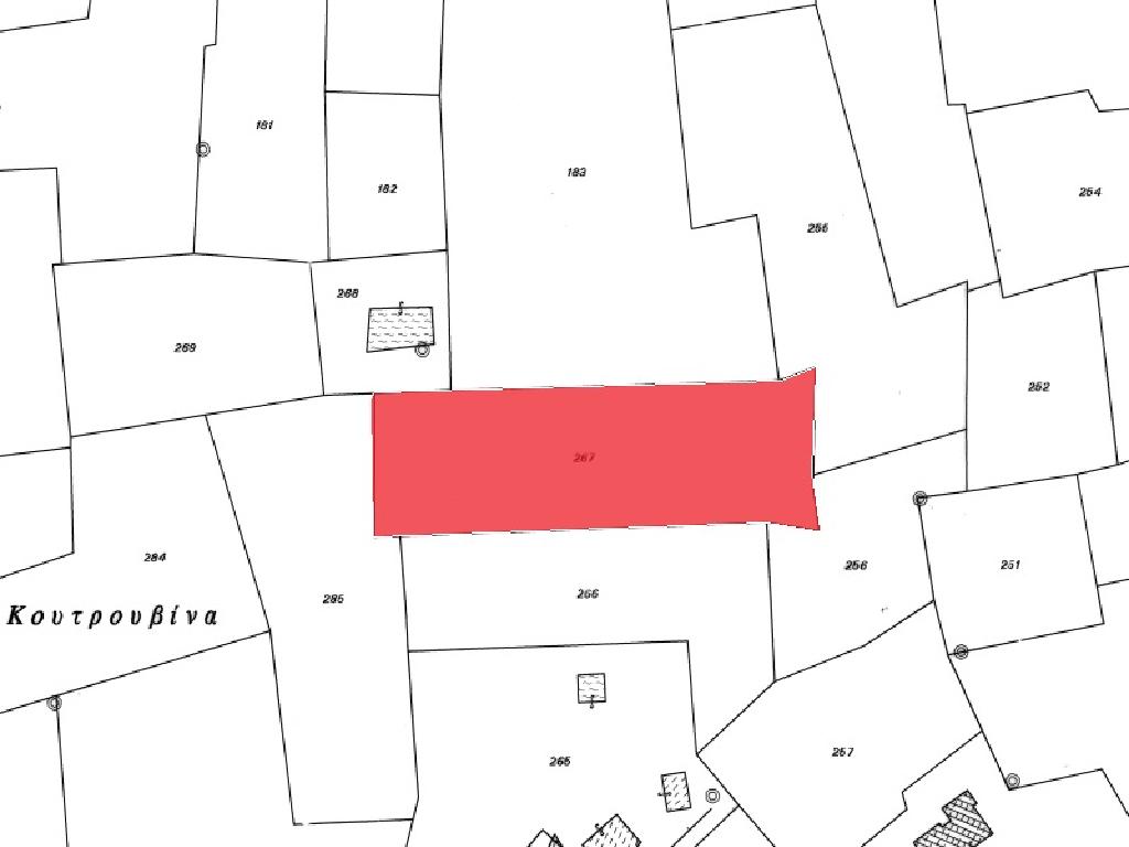 Field-Liopetri-PR39974