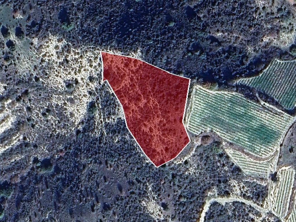 Field-Dora-PR40272