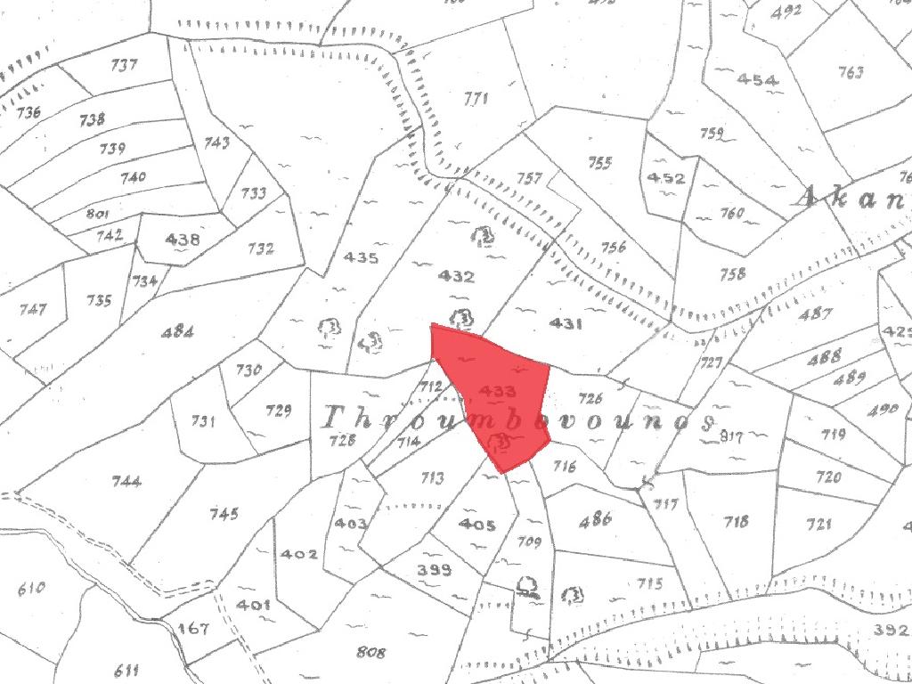 Field-Dora-PR40272