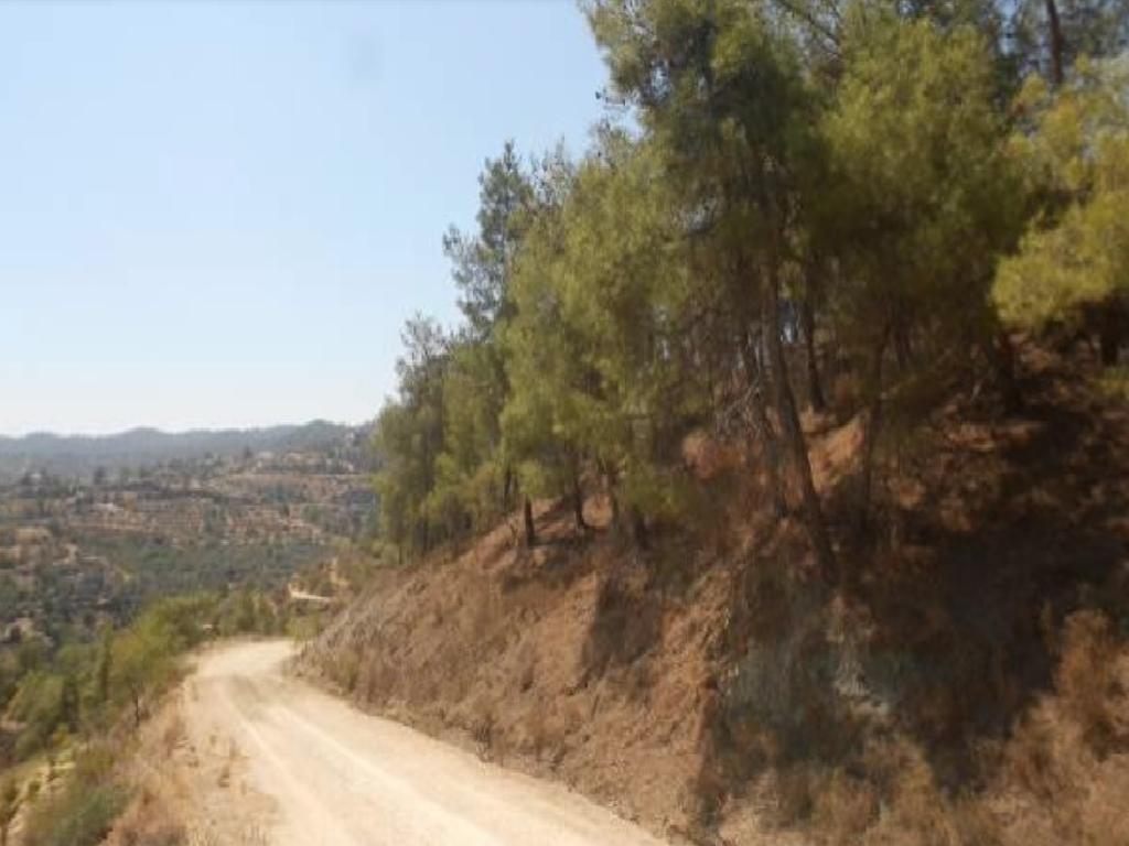Field - Xyliatos, Nicosia