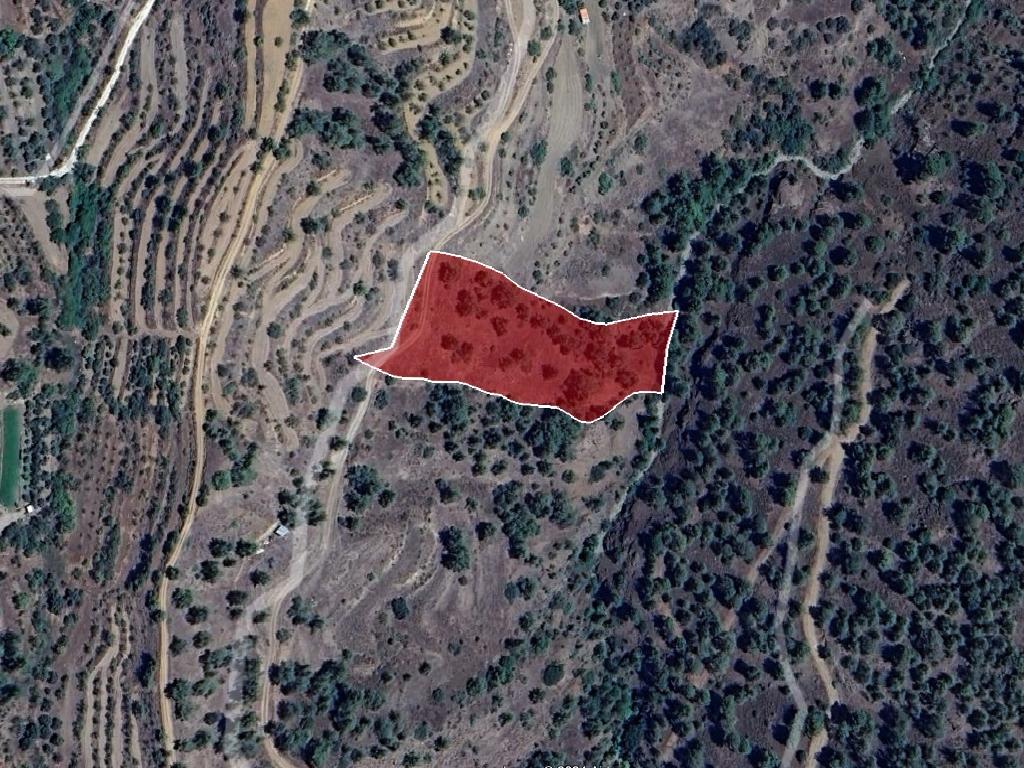 Field - Xyliatos, Nicosia