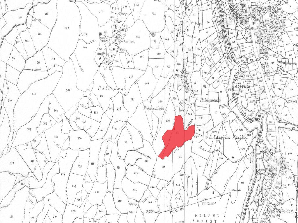 Field - Platanistasa, Nicosia