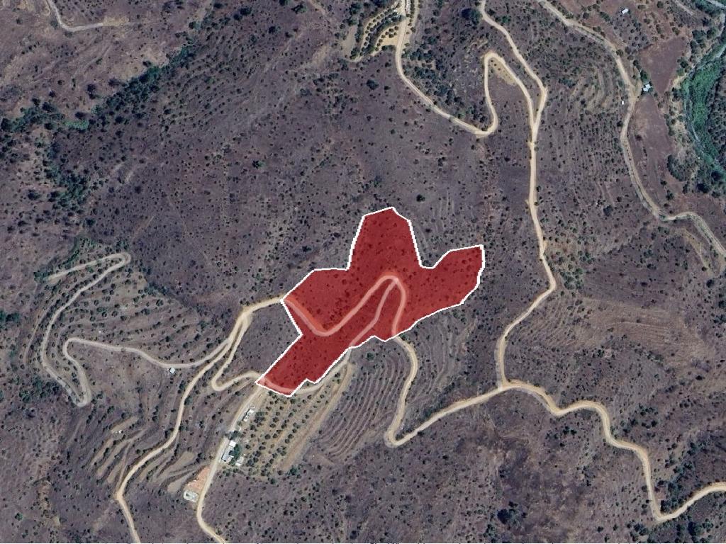 Field - Platanistasa, Nicosia