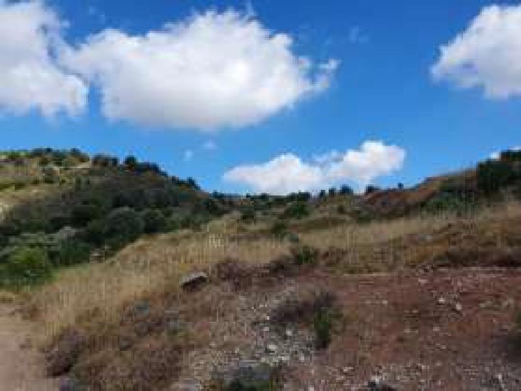 Field-Statos - Agios Fotios-PR41305