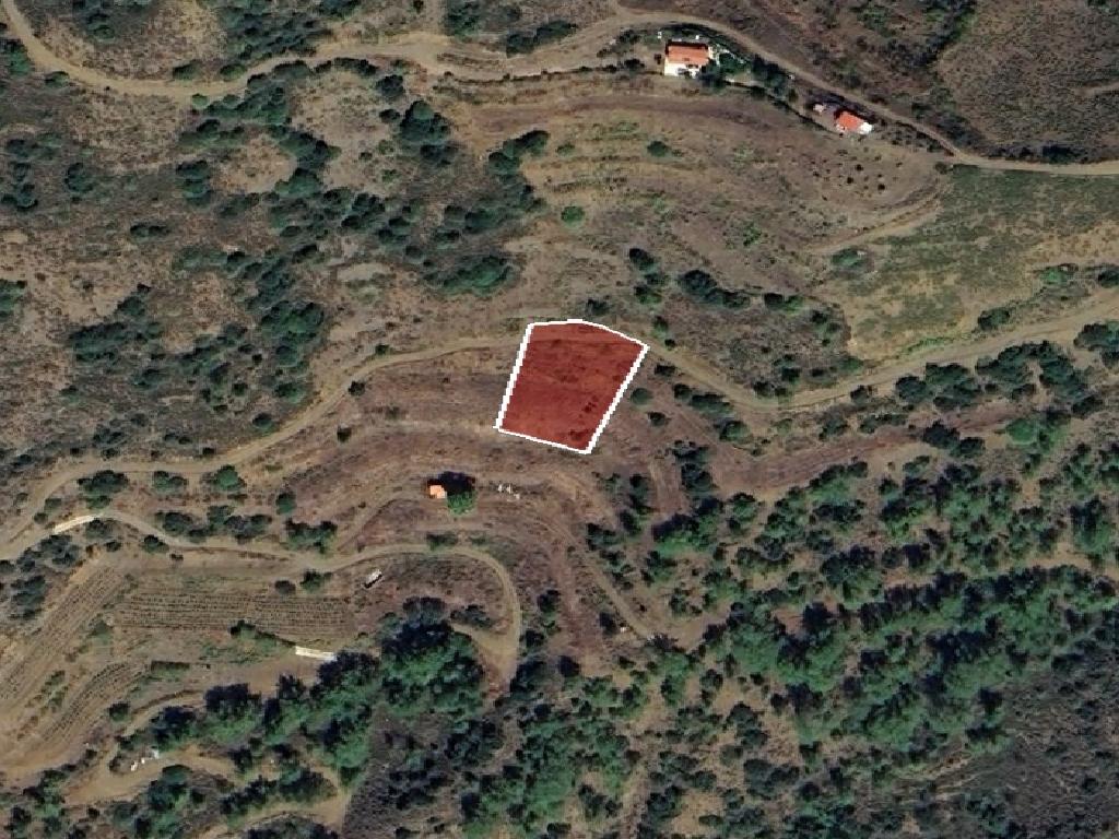 Field-Sykopetra-PR41801