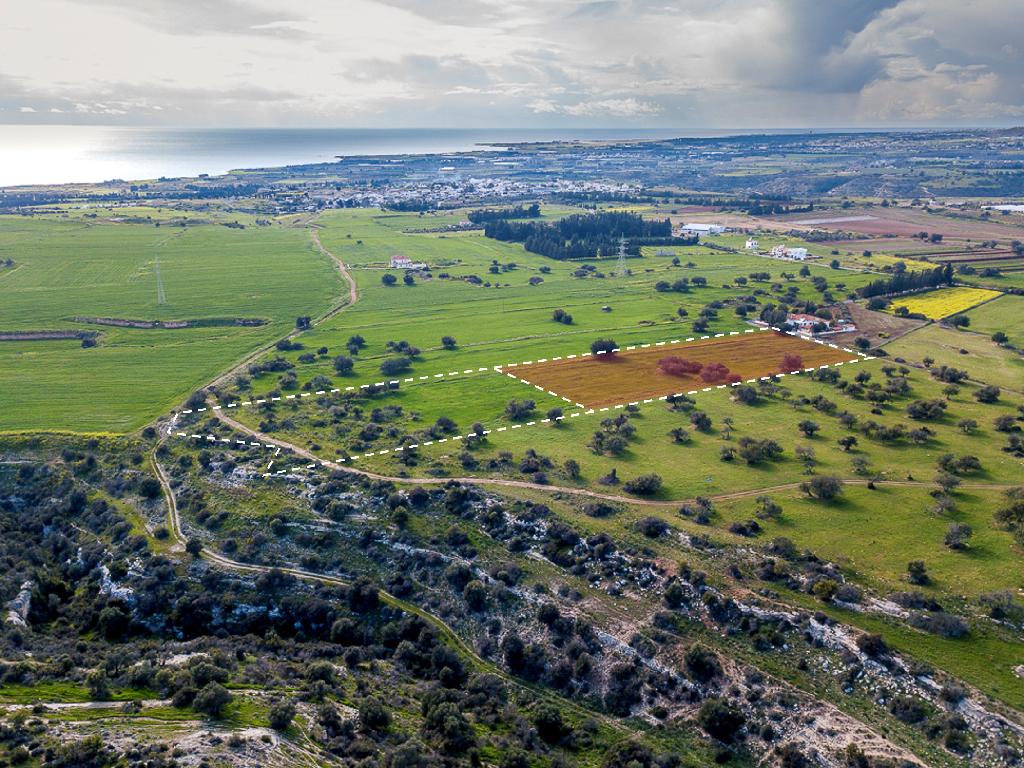 Field-Kouklia-PR41896