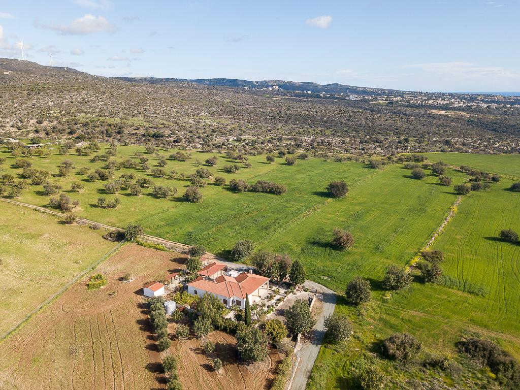 Field-Kouklia-PR41896