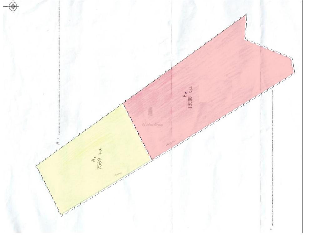 Field-Kouklia-PR41896